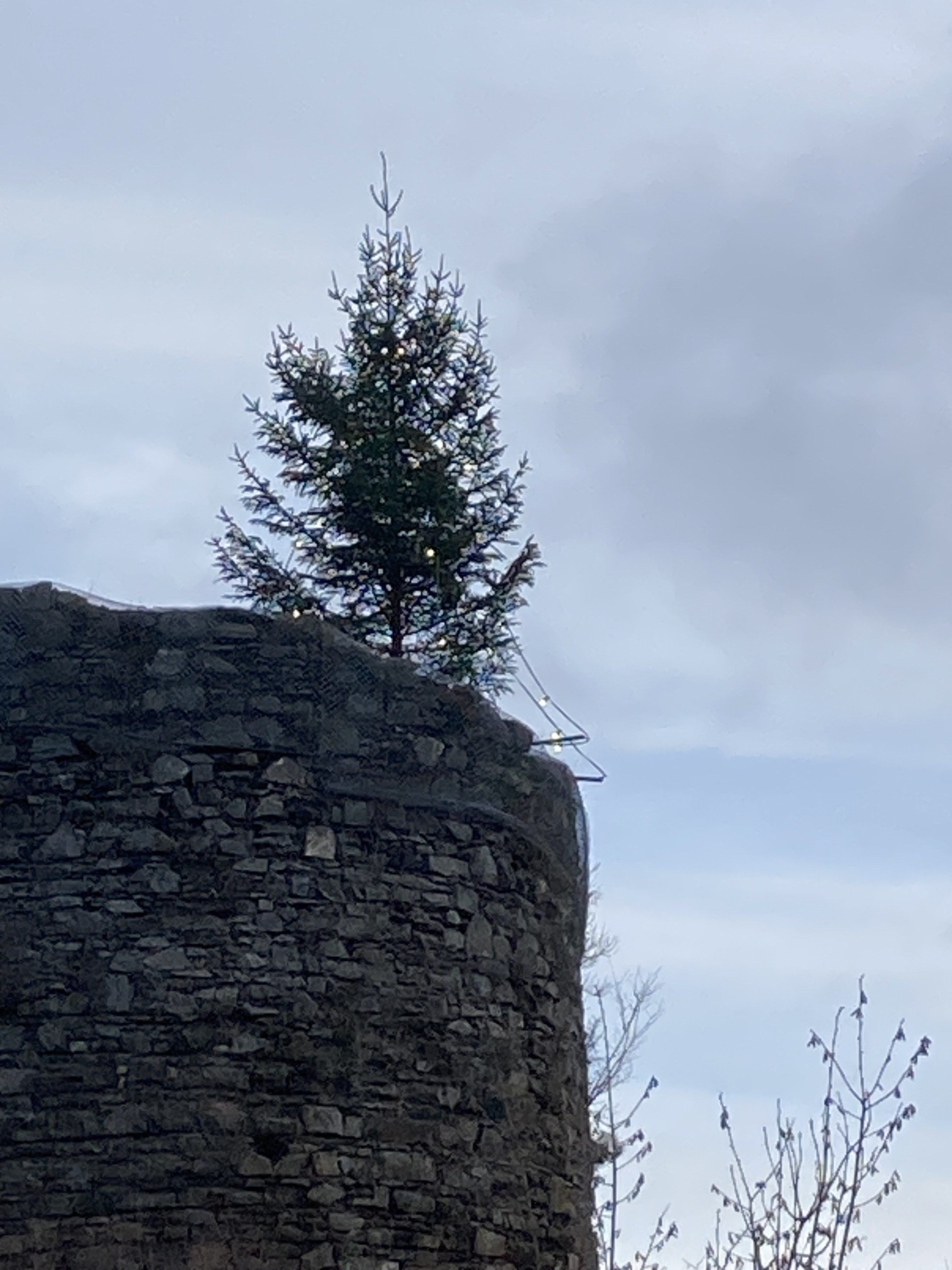 Weihnachtsbaum auf der Burg wurde aufgestellt